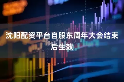 沈阳配资平台自股东周年大会结束后生效