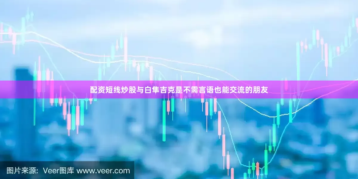配资短线炒股与白隼吉克是不需言语也能交流的朋友