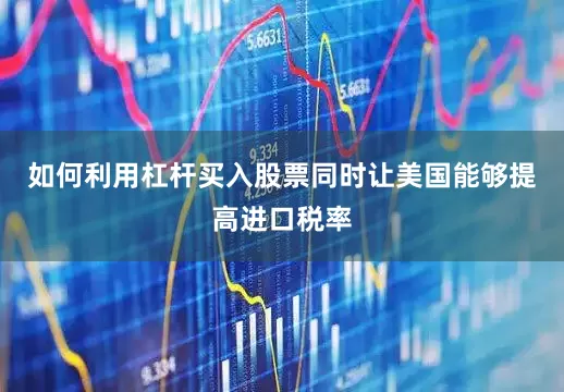 如何利用杠杆买入股票同时让美国能够提高进口税率