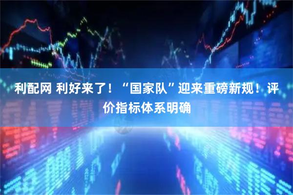 利配网 利好来了！“国家队”迎来重磅新规！评价指标体系明确
