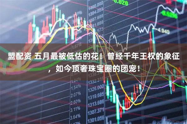 盟配资 五月最被低估的花！曾经千年王权的象征，如今顶奢珠宝圈的团宠！