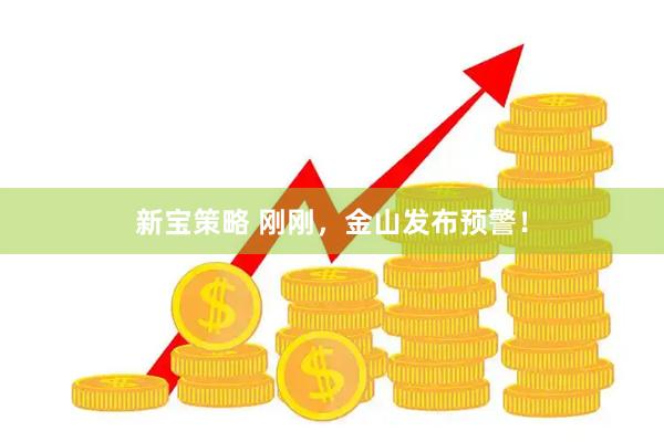 新宝策略 刚刚，金山发布预警！