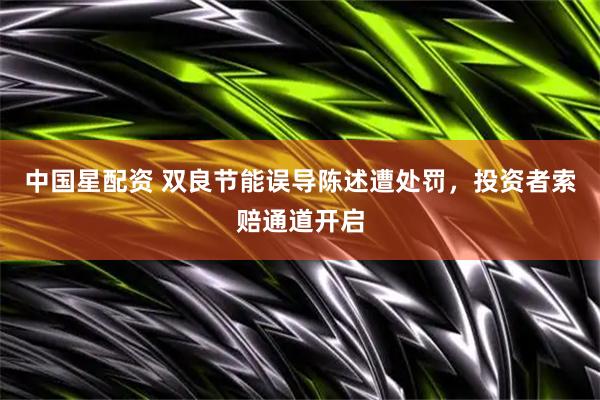 中国星配资 双良节能误导陈述遭处罚，投资者索赔通道开启